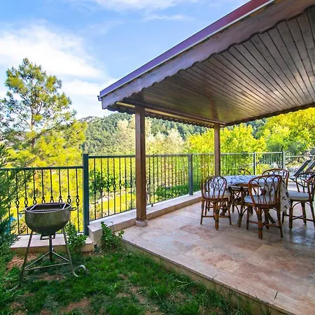 Dadya 4 - Turgut Da Oezel Havuzlu Denize Yakin Lueks 别墅